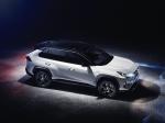 Toyota RAV4 Hybrid Style 2019 года (WW)